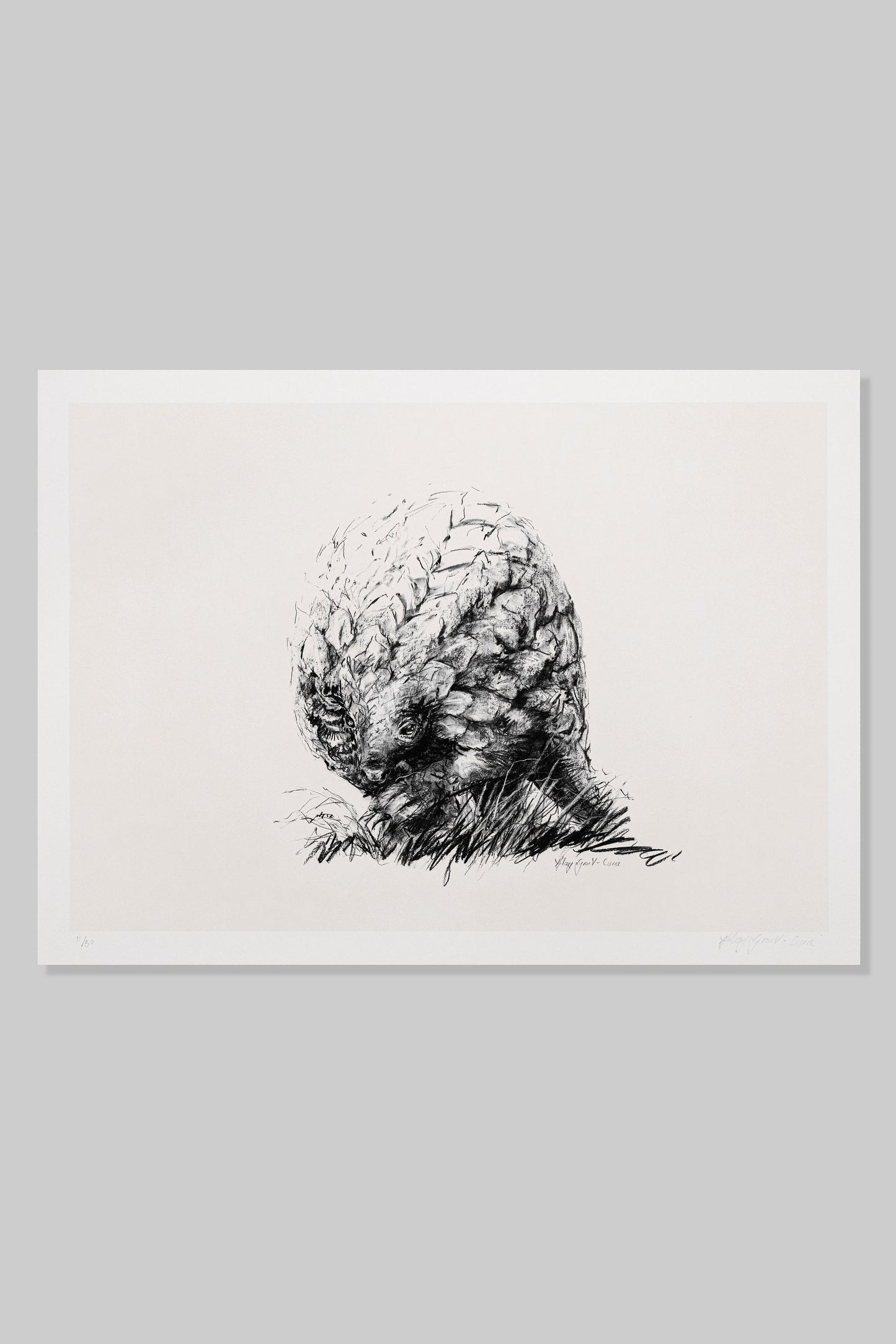 Pangolin: Purbrick
