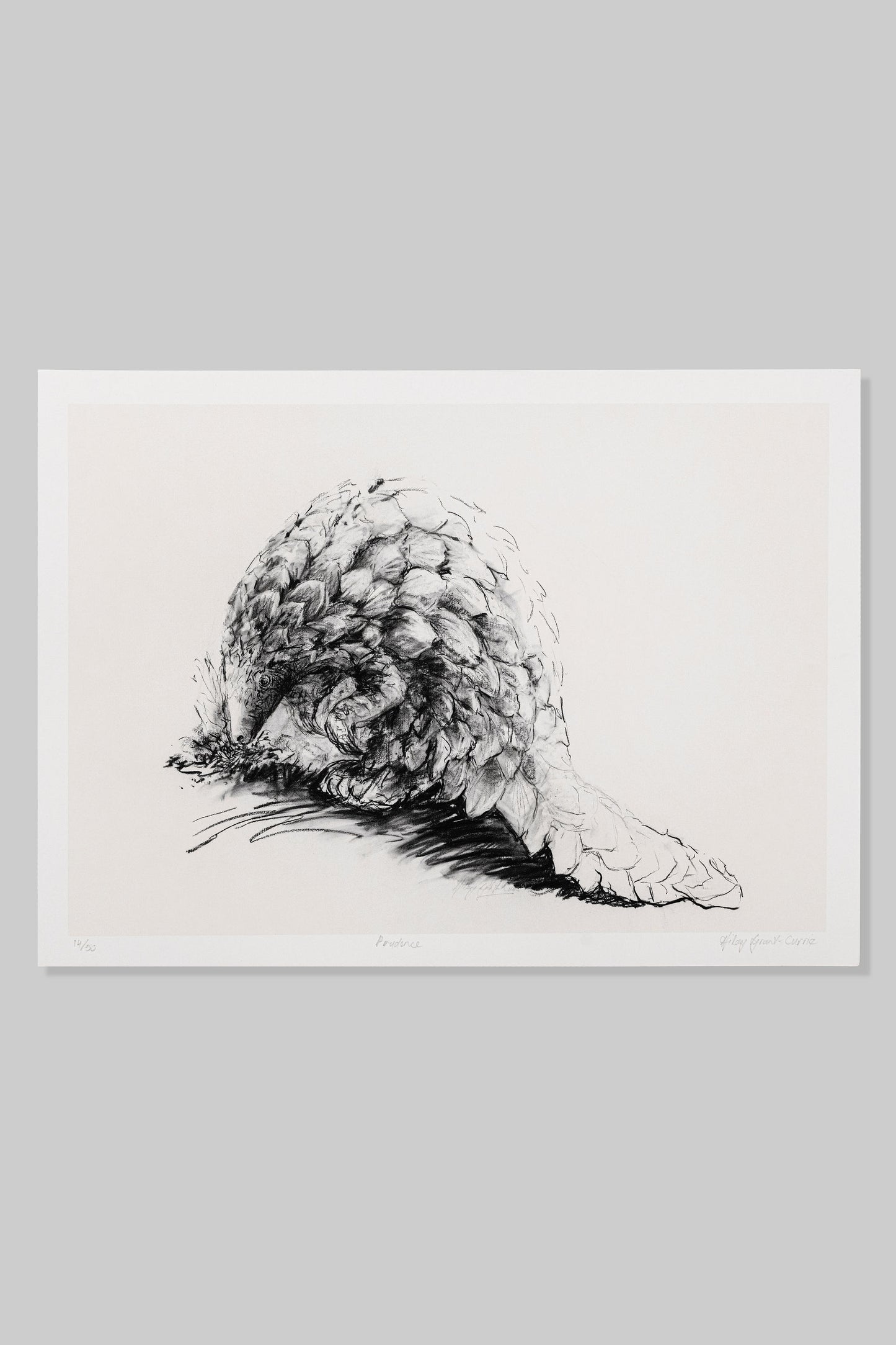 Pangolin: Prudence