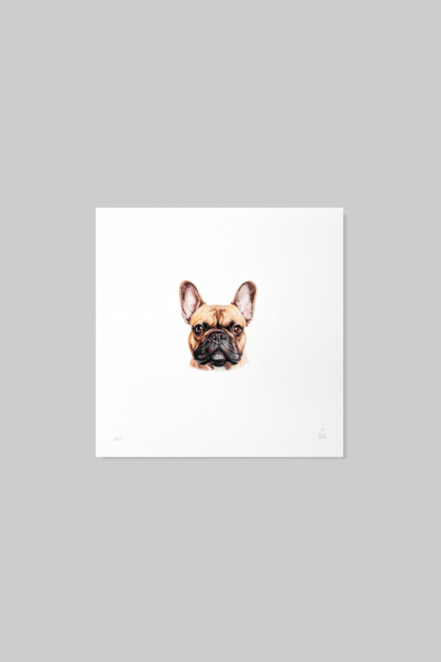 Frenchie