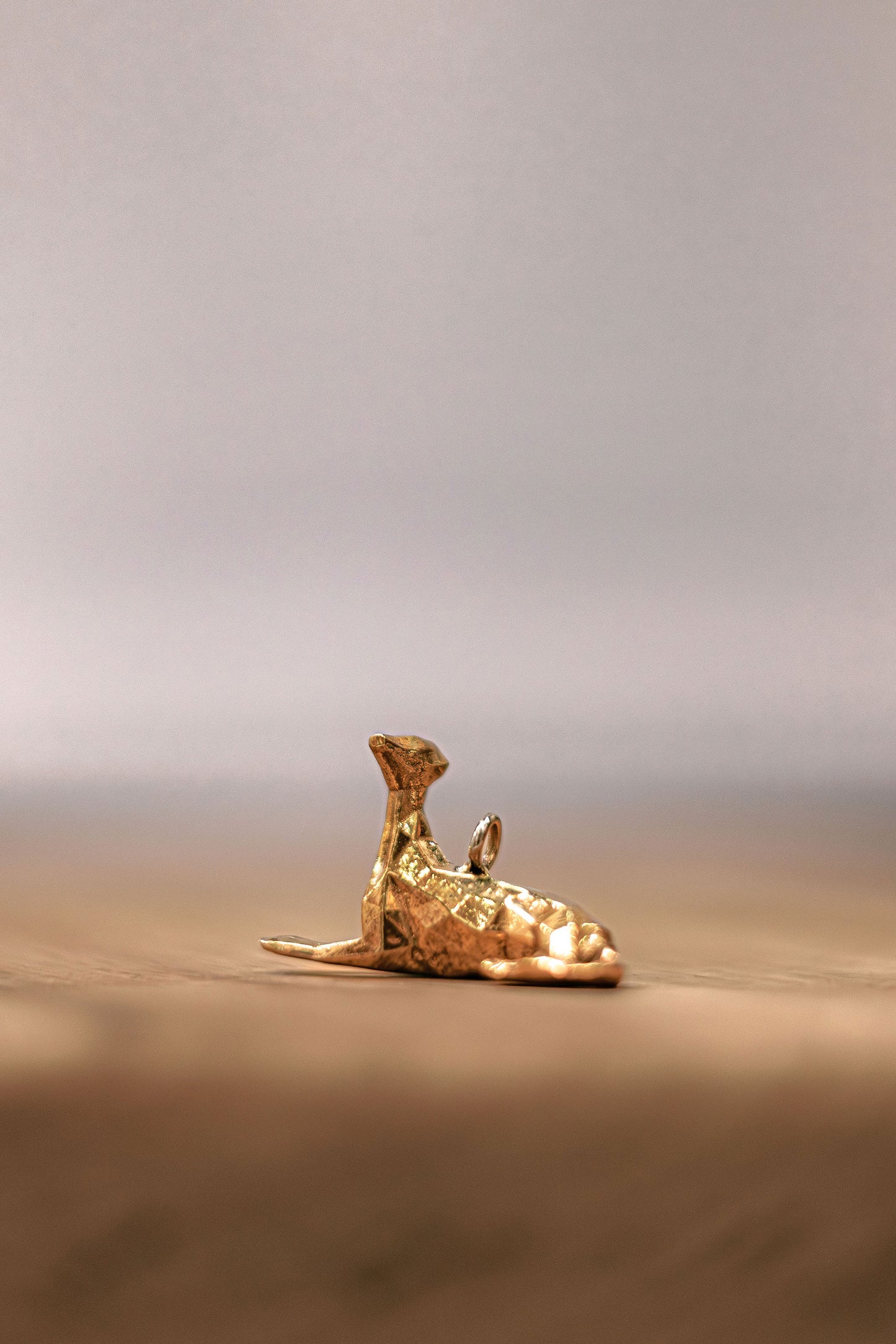 Iggy Pendant