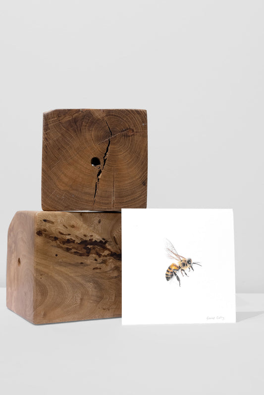 Bee 1