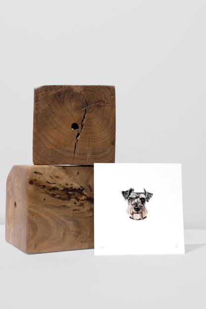 Schnauzer