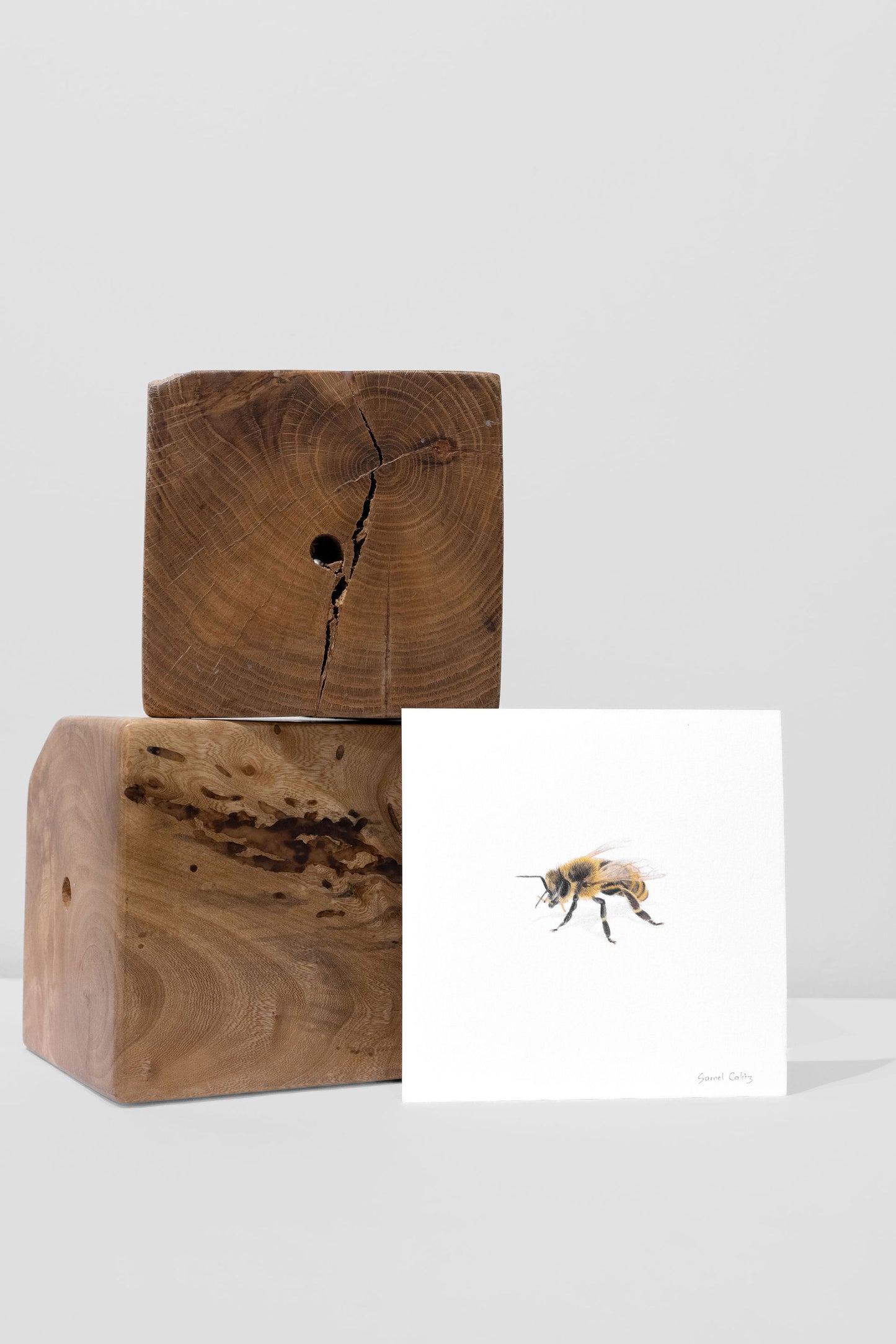 Bee 2