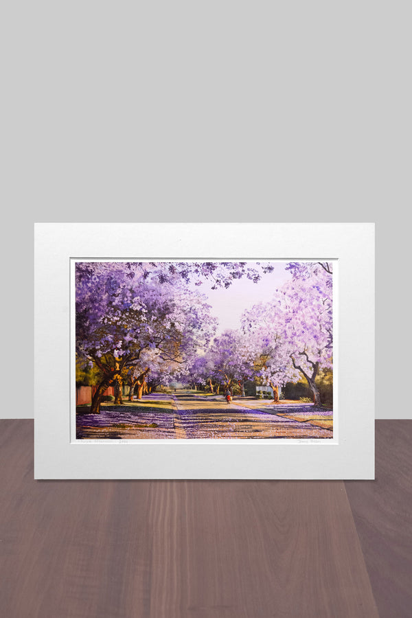 Jacaranda 1
