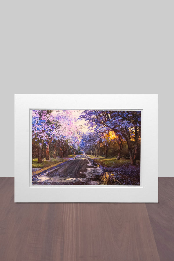 Jacaranda 2