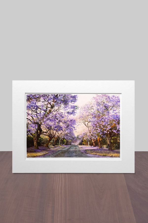 Jacaranda 3