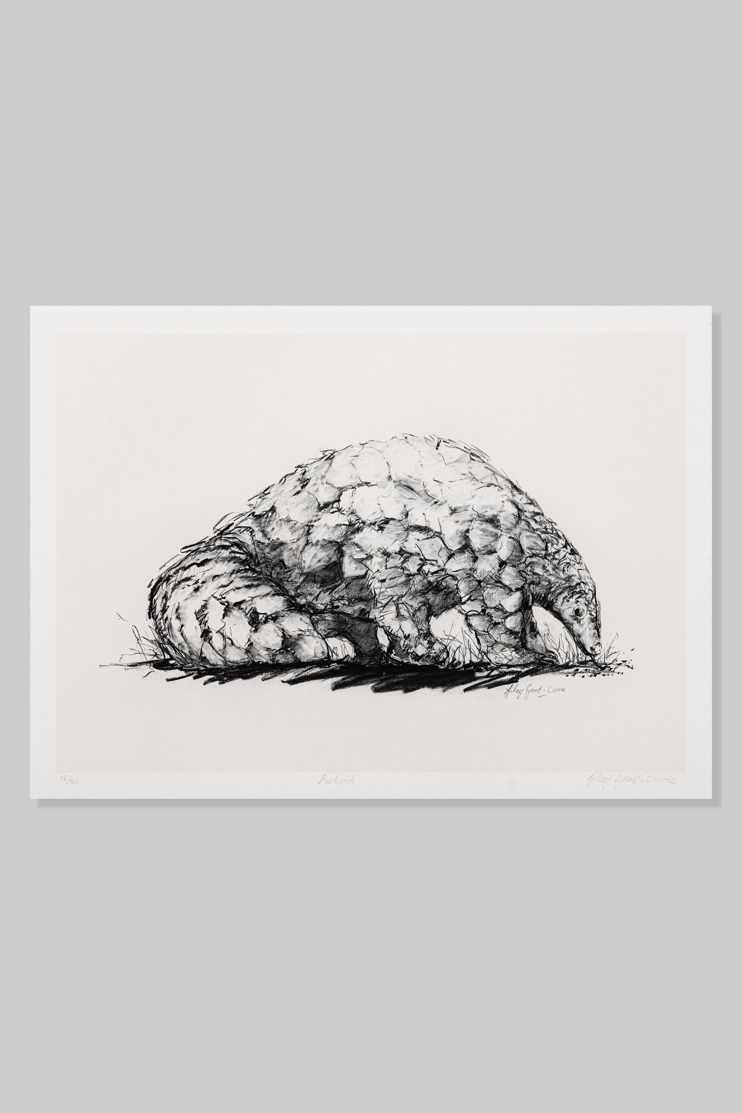 Pangolin: Purbrick
