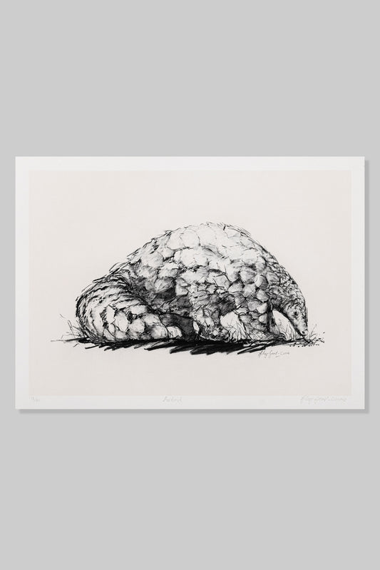 Pangolin: Purbrick