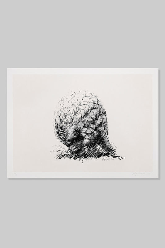 Pangolin: Purbrick