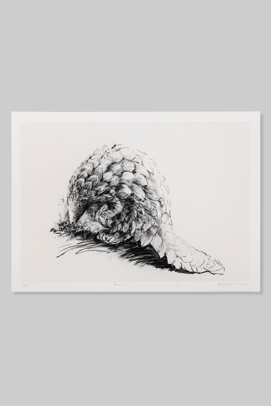 Pangolin: Prudence