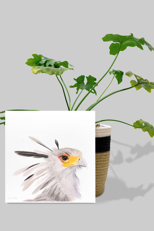 Secretary Bird
