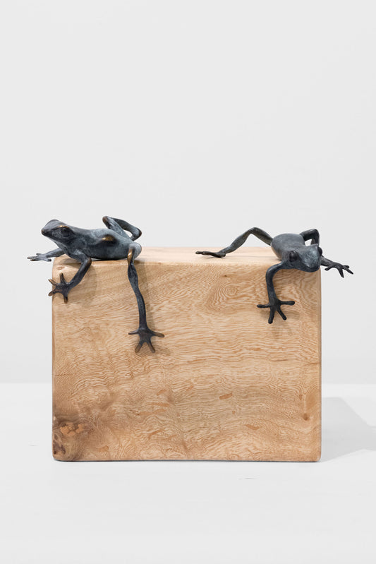 Bronze Tree Frog