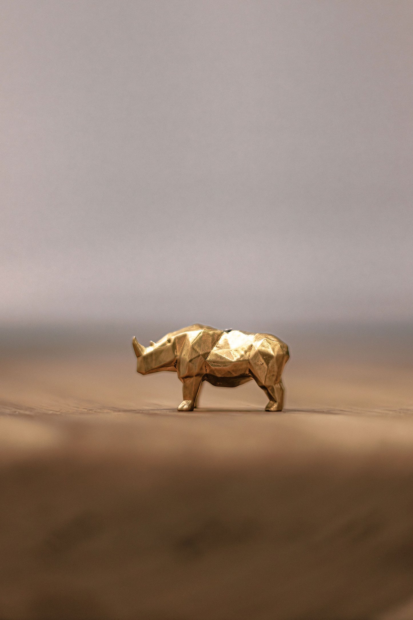 Rhino Pendant on Chain