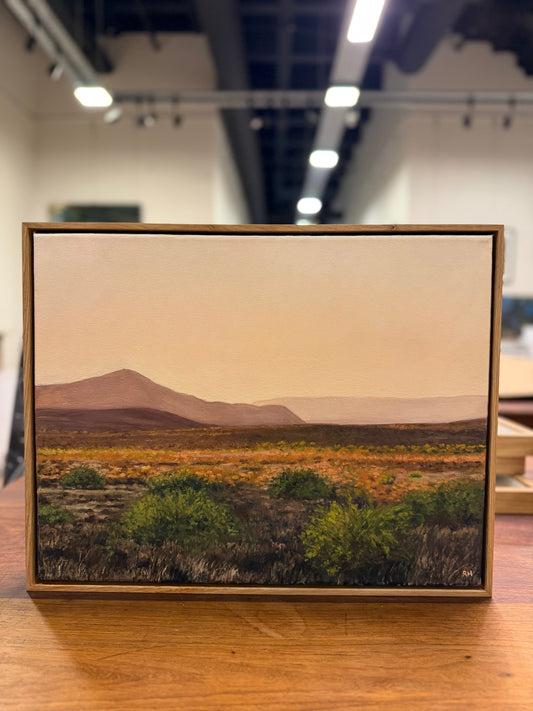 Ronel Human - Last light of Loeriesfontein