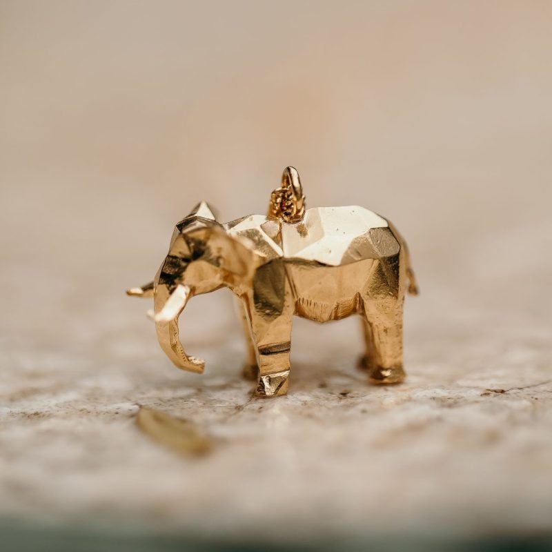 Elephant Pendant on Chain