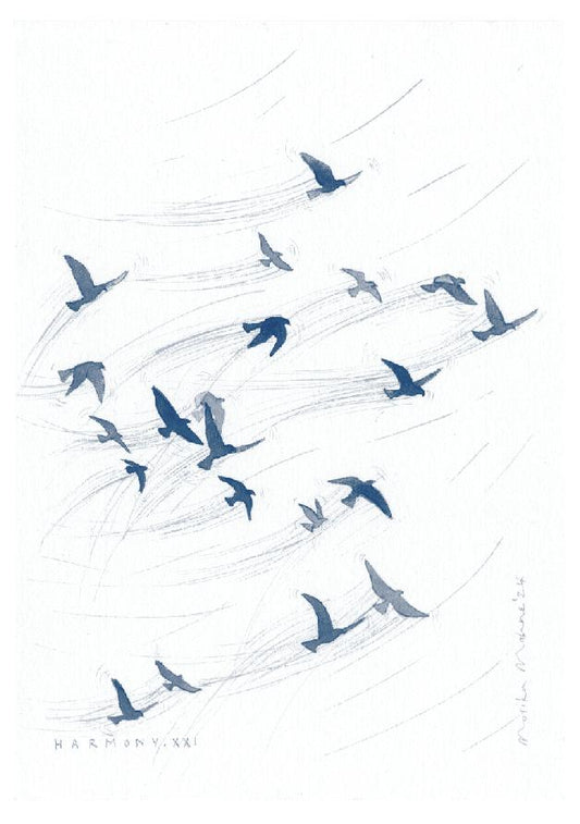 Harmony