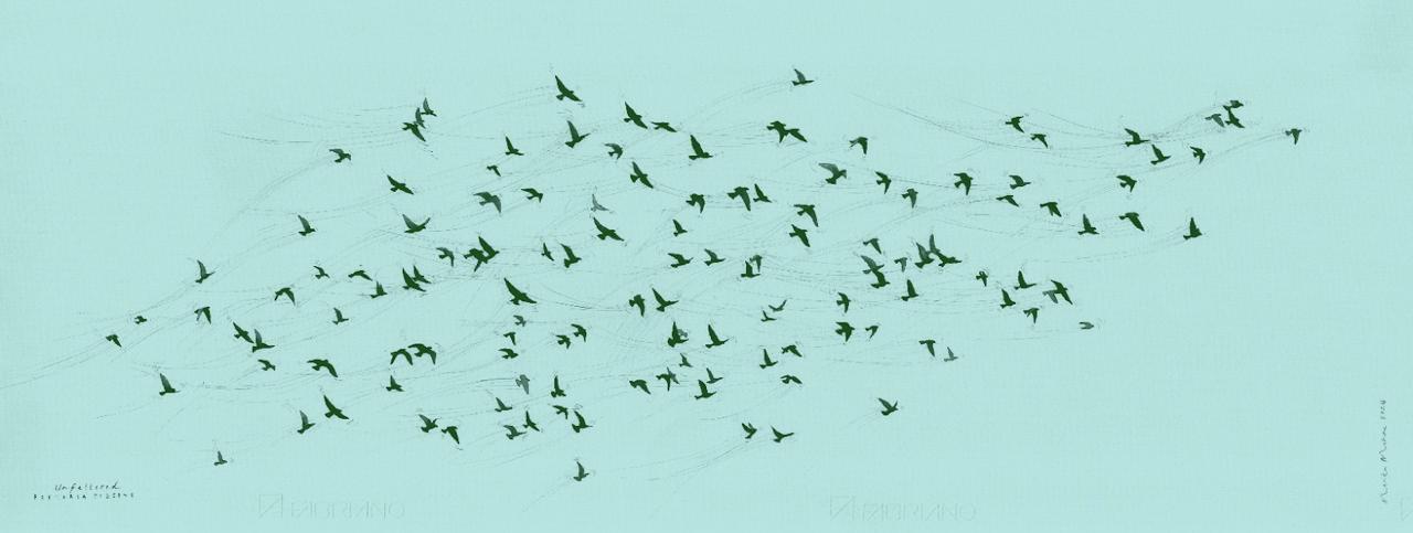 Unfettered Pretoria Pigeons